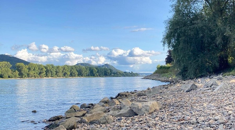 🏞️ 플리티 해변 (플리티 비치)